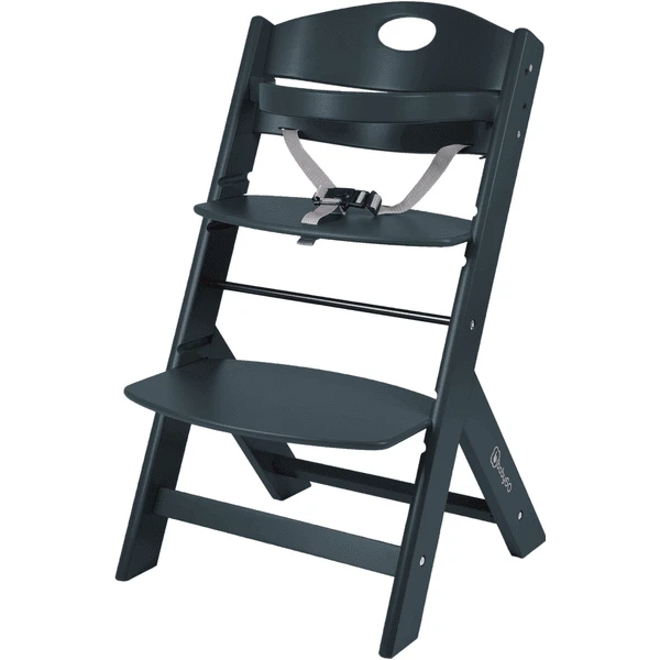 BabyGO Kinderstoel Familie Black 3 BabyGO Kinderstoel Familie Black