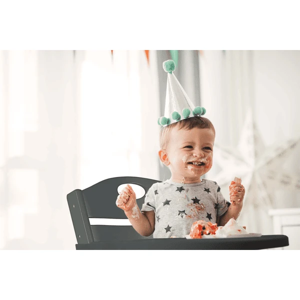 BabyGO Kinderstoel Family Natuur 4 BabyGO Kinderstoel Family Natuur - Afbeelding 2