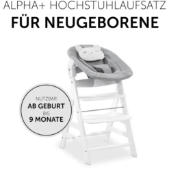 Hauck Wipstoeltje Alpha Bouncer 2in1 Pastel Bear Light Grey -Knus En Klein hauck wipstoeltje alpha bouncer 2in1 pastel bear light grey a372182 3