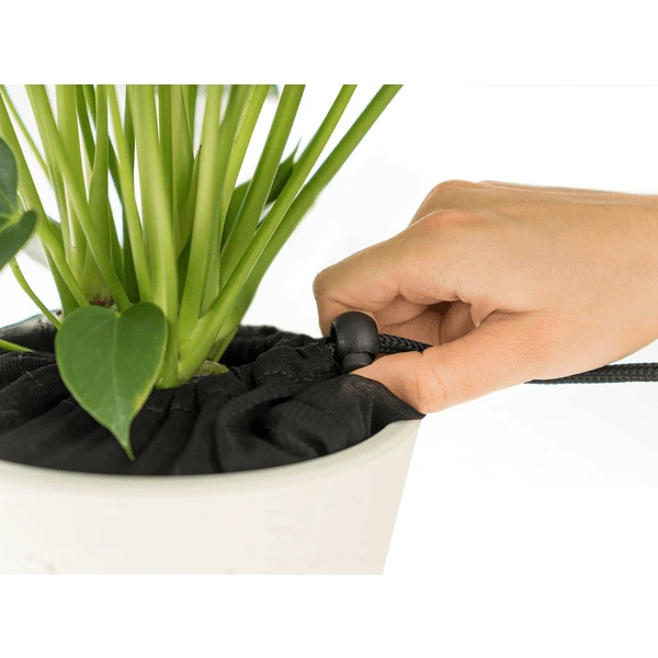 Reer Plantenbeschermingsnet Ø20cm Zwart 4 Reer Plantenbeschermingsnet Ø20cm Zwart - Afbeelding 2