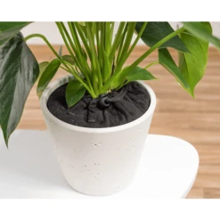 Reer Plantenbeschermingsnet Ø20cm Zwart 9 Reer Plantenbeschermingsnet Ø20cm Zwart -Knus En Klein reer plantenbeschermingsnet o20cm zwart a242204 2