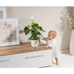 Reer Plantenbeschermingsnet Ø20cm Zwart 10 Reer Plantenbeschermingsnet Ø20cm Zwart -Knus En Klein reer plantenbeschermingsnet o20cm zwart a242204 3